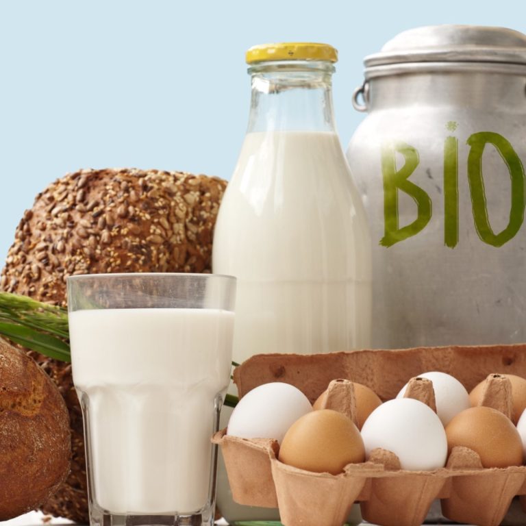 Bio Frühstück bestehend aus Milch, Vollkornbrot und Eiern